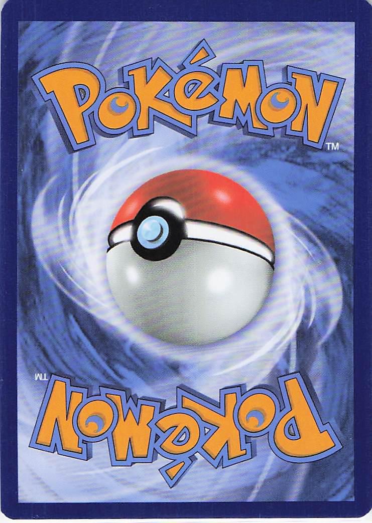 Charizard & Braixen GX 251/236