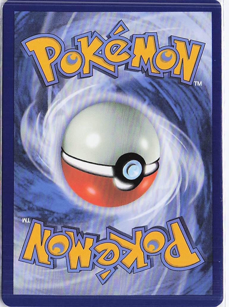 Mega Camerupt ex 022/132