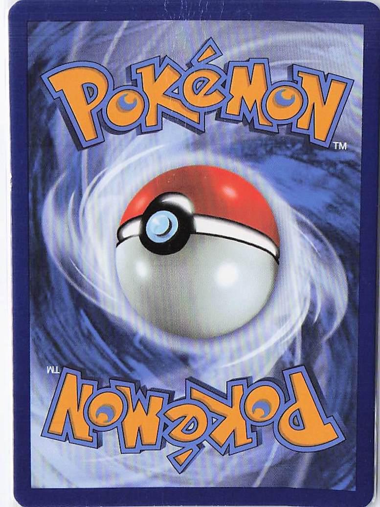 Professor’s Research 024/025