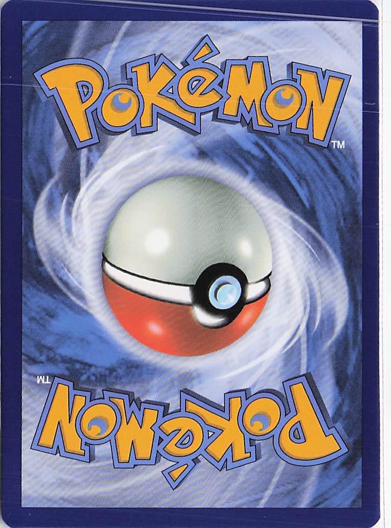 Maximum Belt 154/162