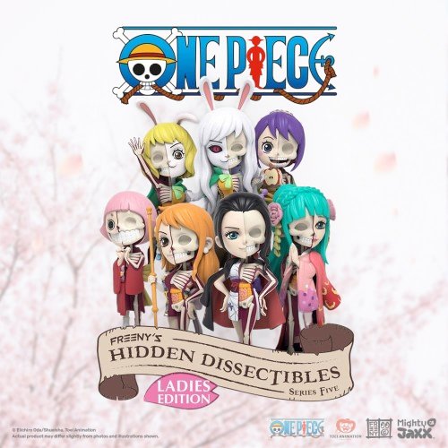 One Piece - Hidden Dissectibles Ladies Edition Blind Box