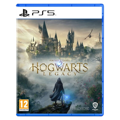 Hogwarts Legacy (PS5) - Preowned