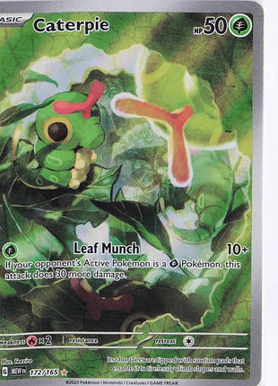 Caterpie 172/165