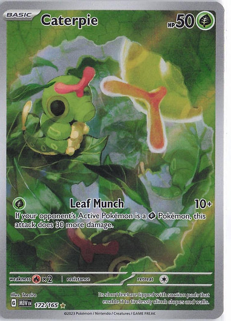 Caterpie 172/165