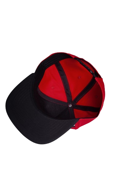 Pokemon - Difuzed Pokeball Snapback Cap