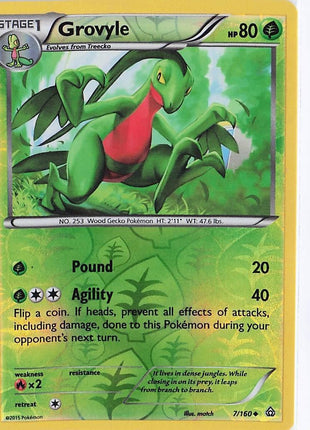 Grovyle 7/160 (RH)