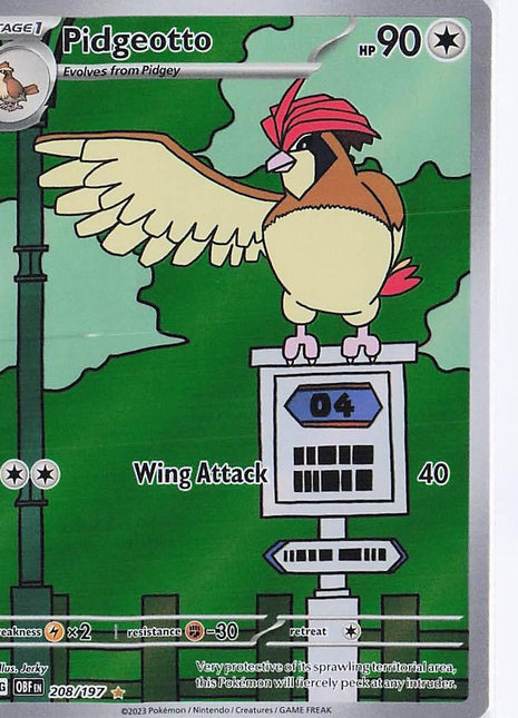 Pidgeotto 208/197