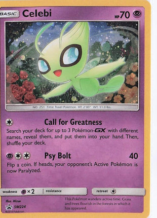 Celebi SM224