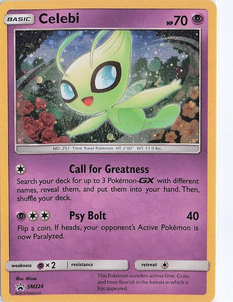 Celebi SM224