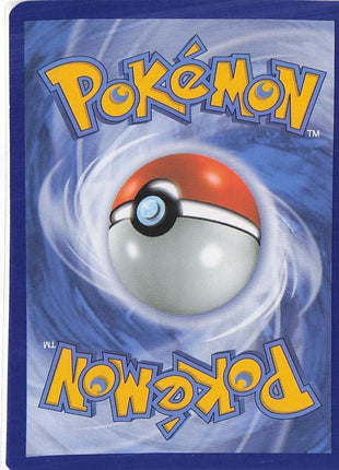 Ditto XY40
