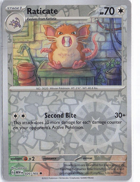 Raticate 020/165 (RH)