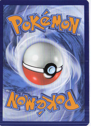 Squirtle 148/142