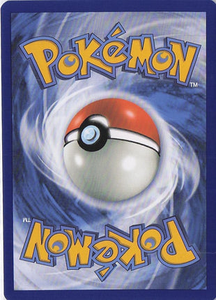 Sandygast 214/193