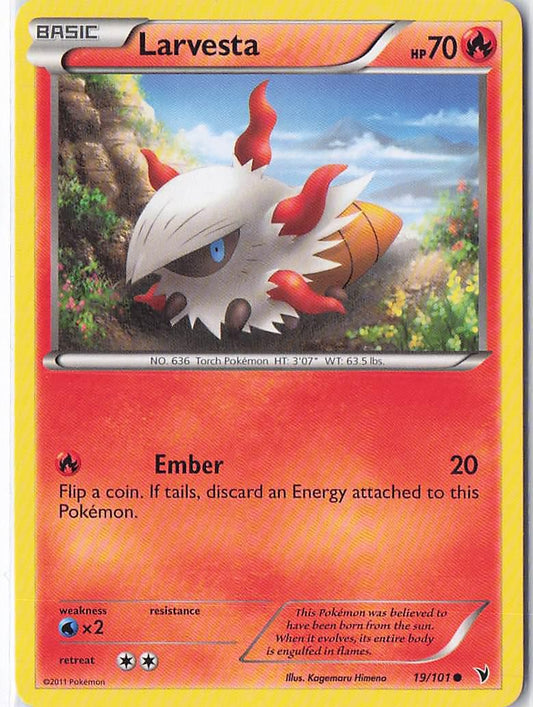 Larvesta 19/101
