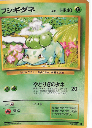 Bulbasaur LV.13 No.001