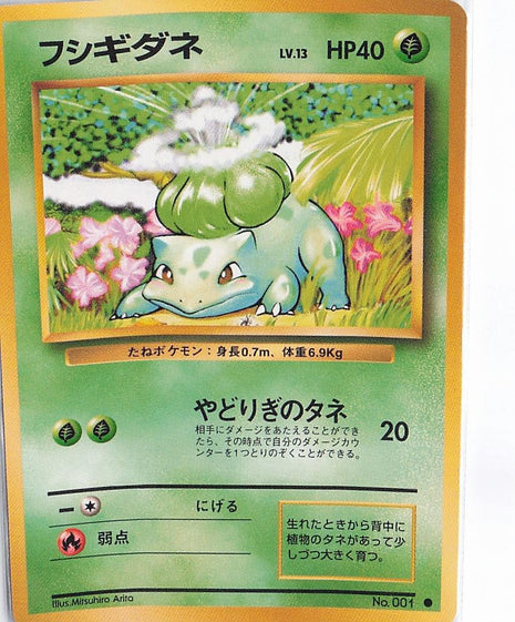 Bulbasaur LV.13 No.001