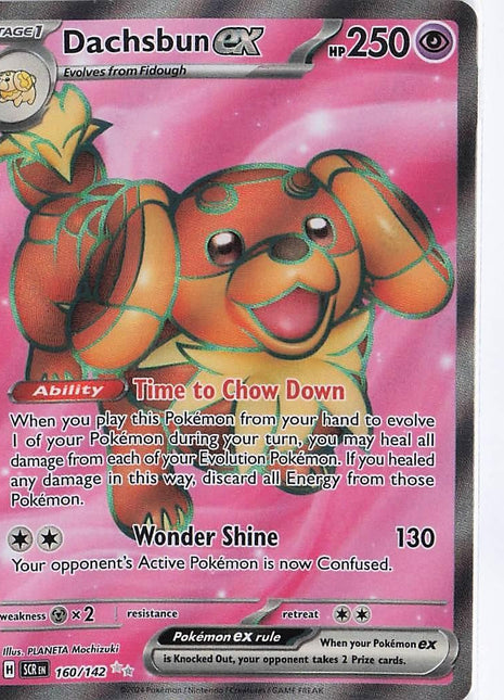 Dachsbun ex 160/142