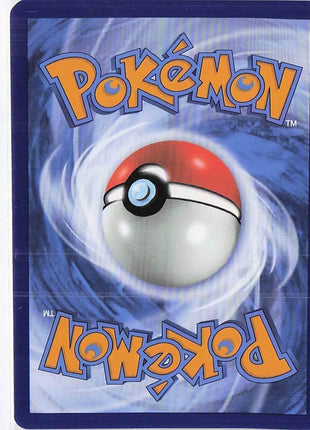 Rare Candy 256/198