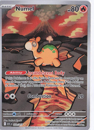 Numel 223/217