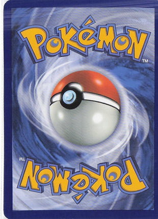 Team Rocket's Houndoom 191/182