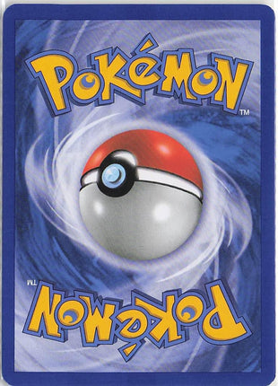 Ledyba 6/146