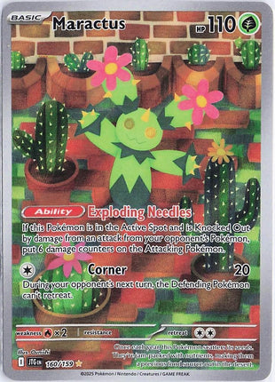 Maractus 160/159
