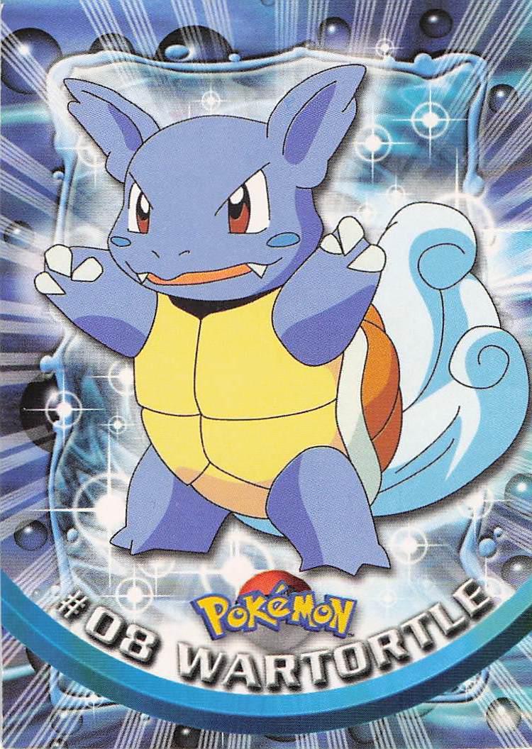 Wartortle #08