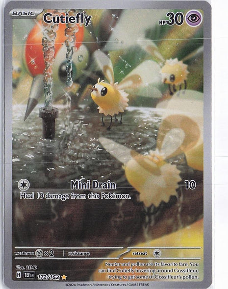 Cutiefly 172/162