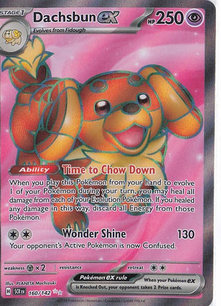 Dachsbun ex 160/142
