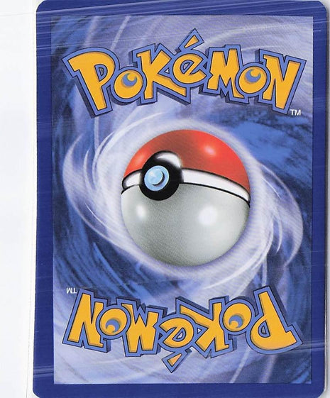 Squirtle 24/135