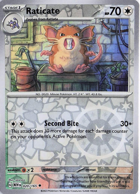 Raticate 020/165 (RH)