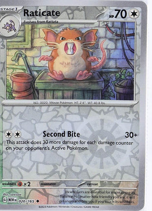 Raticate 020/165 (RH)