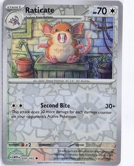 Raticate 020/165 (RH)