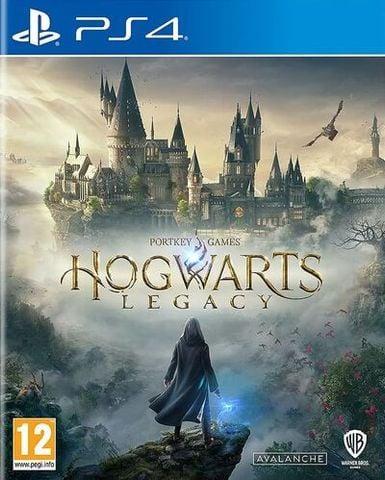 Hogwarts Legacy (PS4)