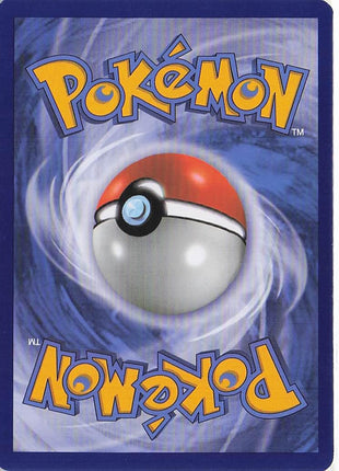Team Magma Ball 80/95