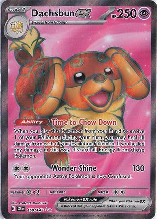 Dachsbun ex 160/142