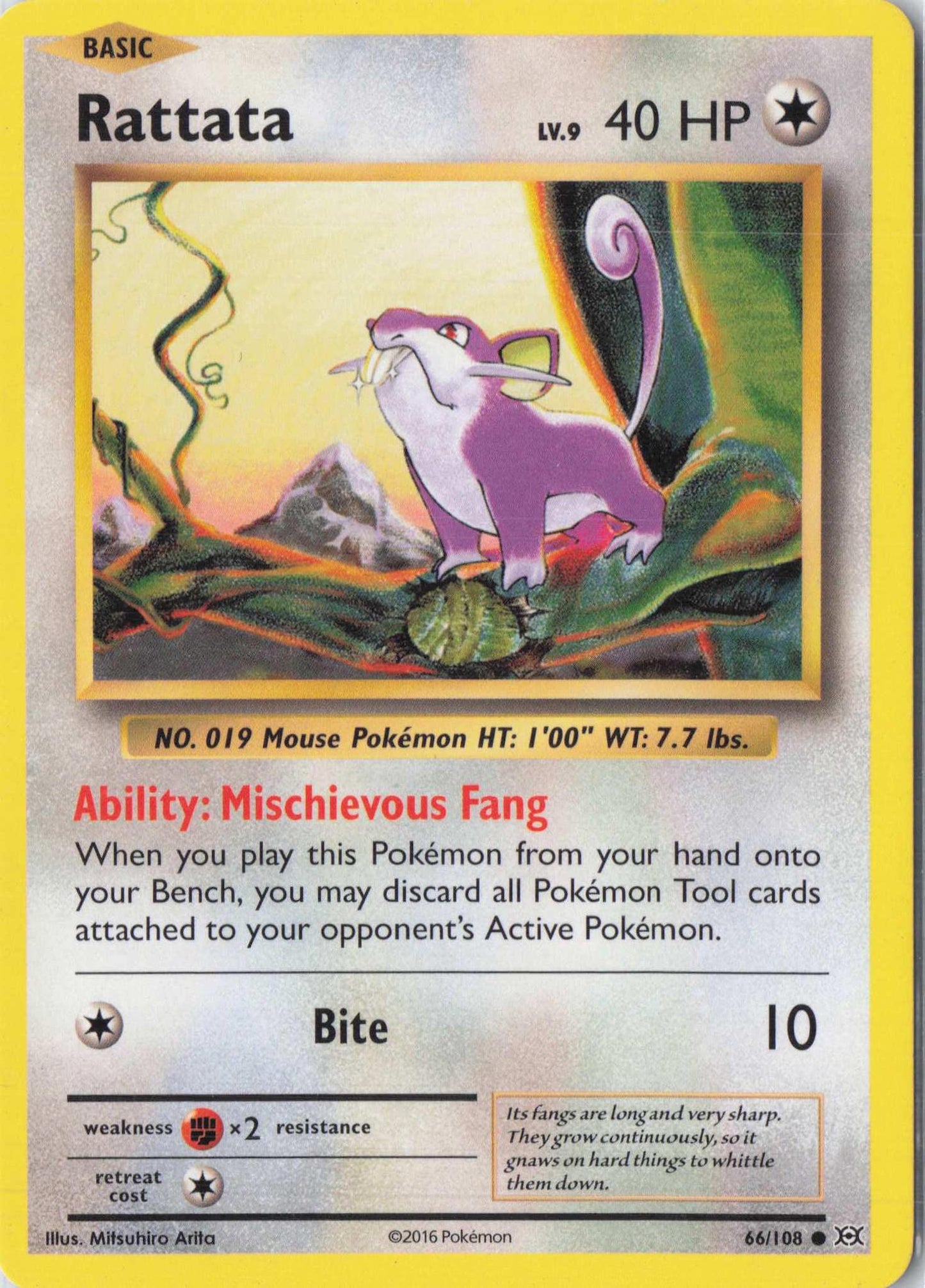 Rattata 66/108