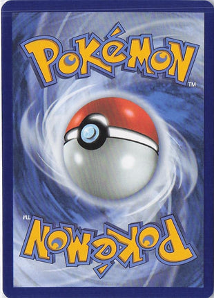 Team Rocket’s Houndoom 191/182