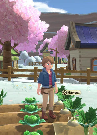 Harvest Moon - The Winds of Anthos Complete Edition (Nintendo Switch)