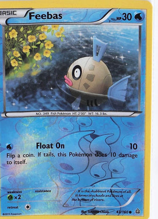 Feebas 43/160 (RH)