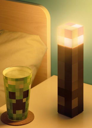 Minecraft - Torch Light