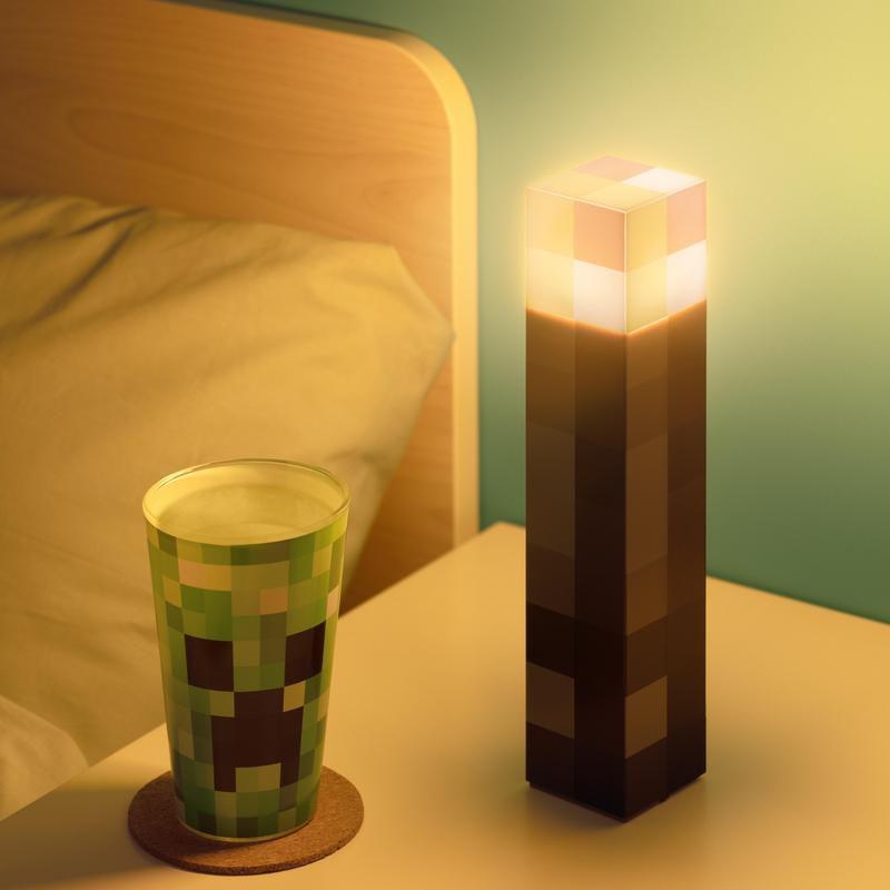 Minecraft - Torch Light