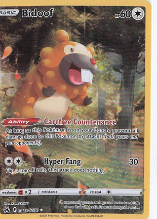 Bidoof GG29/GG70
