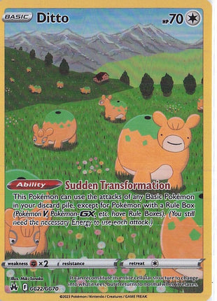 Ditto GG22/GG70