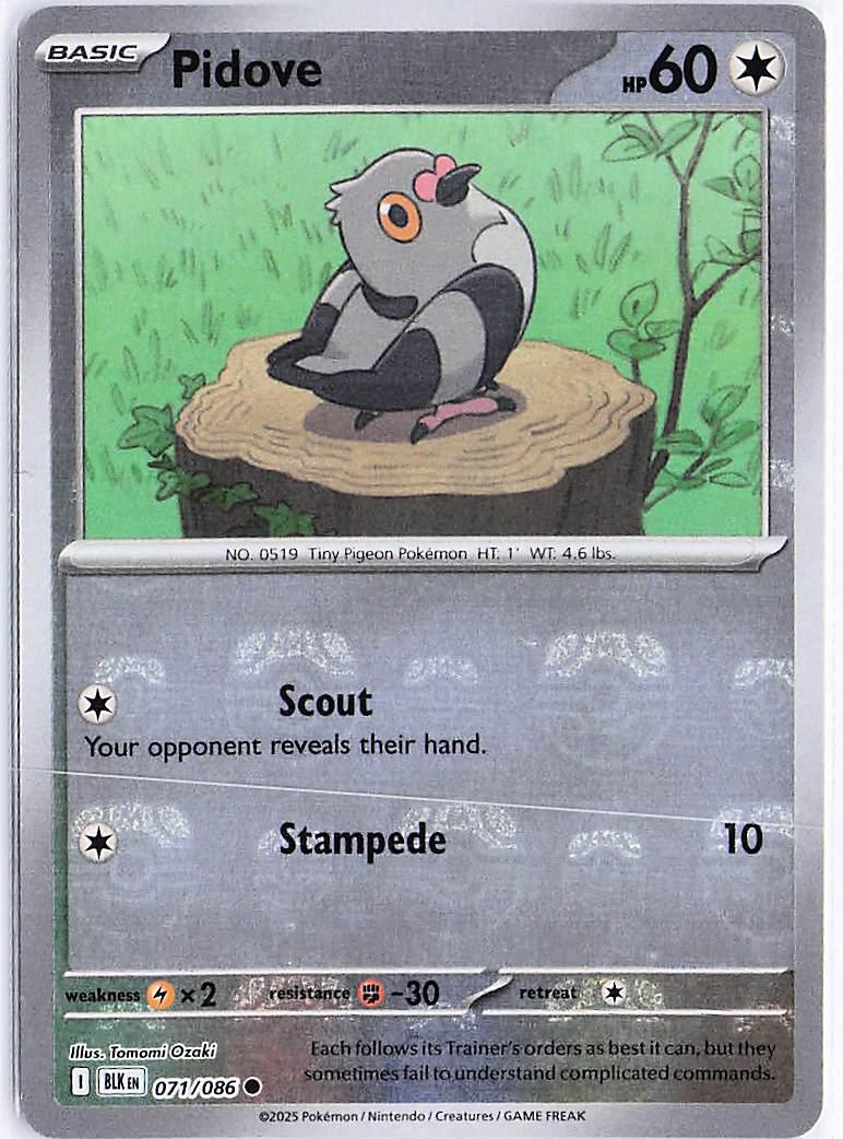 Pidove 071/086 (Masterball)