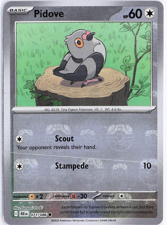 Pidove 071/086 (Masterball)