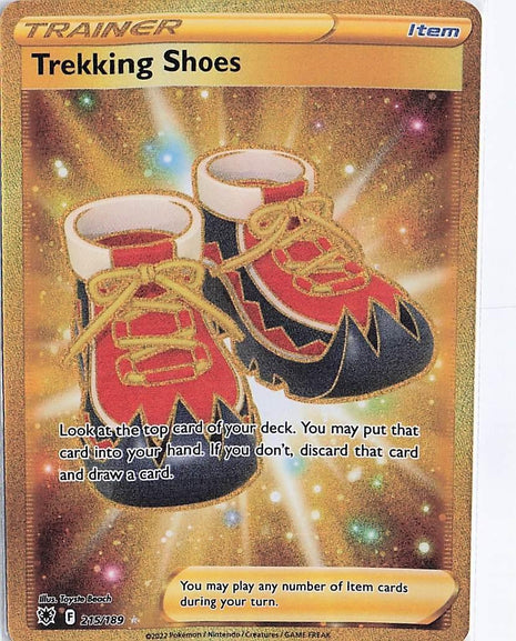 Trekking Shoes 215/189
