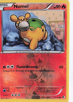 Numel 21/149 (RH)