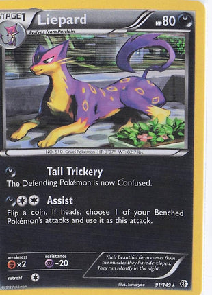 Liepard 91/149 (H)
