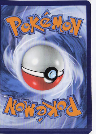 Rare Candy 256/198